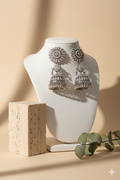 Silver & Multicolour Earrings
